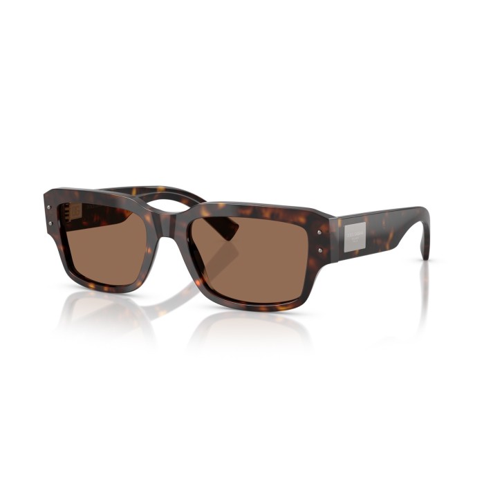 Sunglasses Dolce & Gabbana DG4483 50273