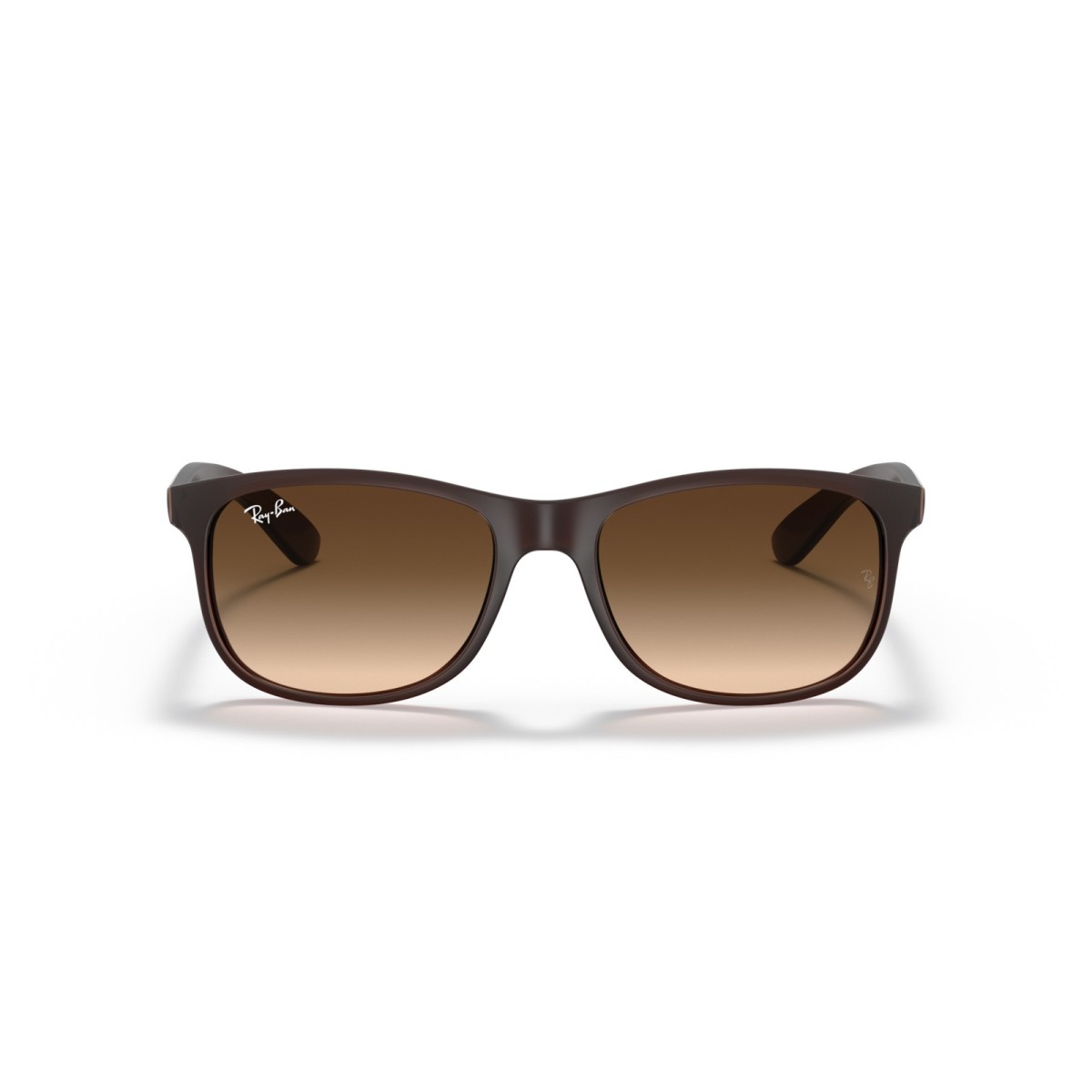 Ray-Ban Andy RB4202 607313 | Gafas de sol | Vytria Eyewear