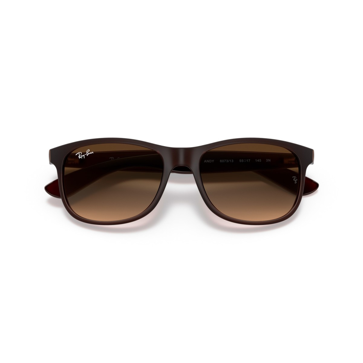 Ray-Ban Andy RB4202 607313 | Gafas de sol | Vytria Eyewear