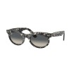 Wayfarer Oval RB2242 133371