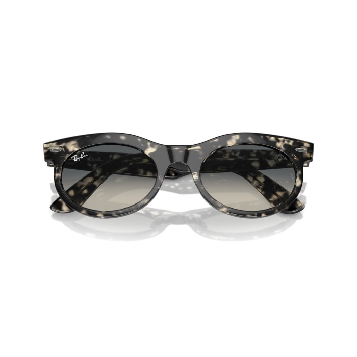 Wayfarer Oval RB2242 133371