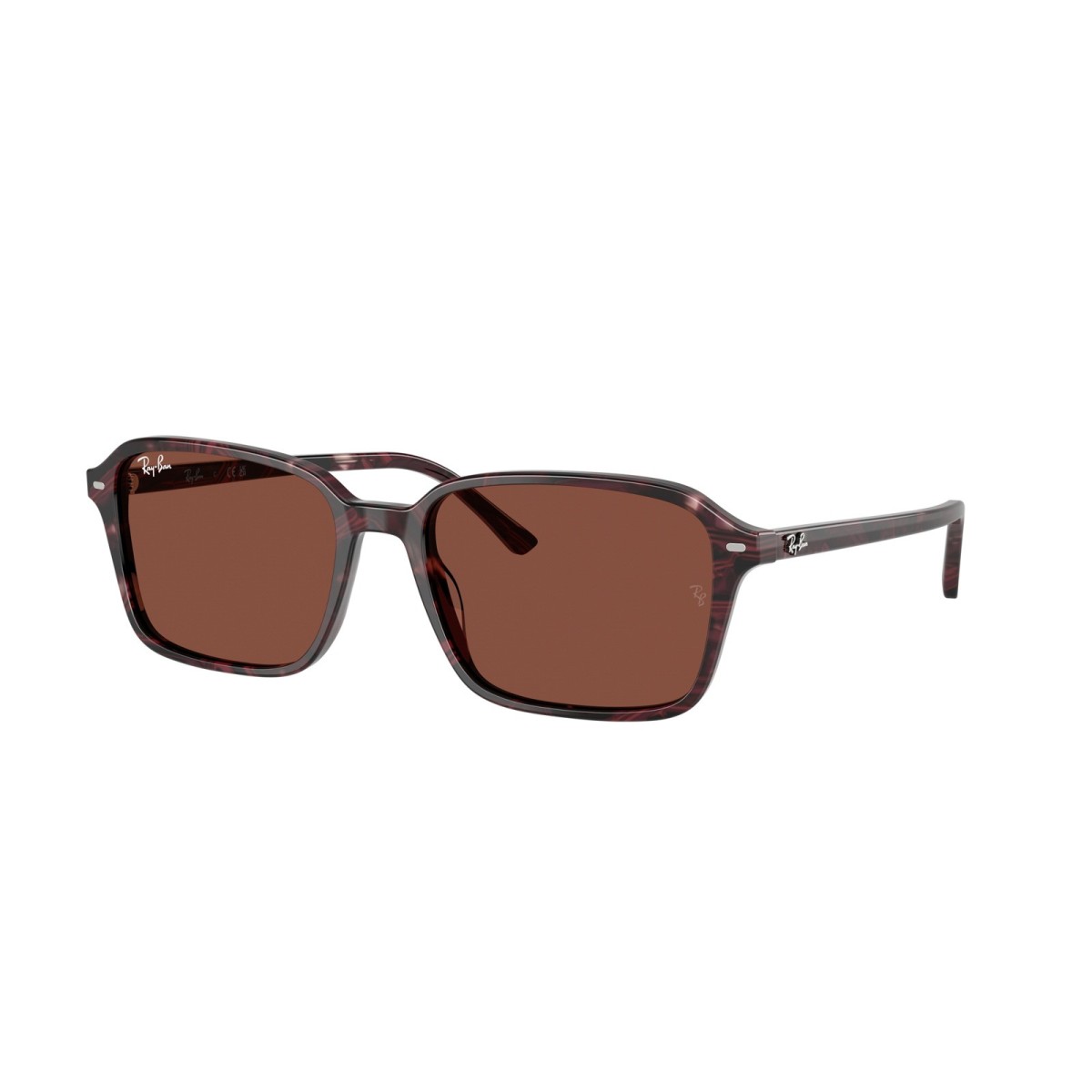 Gafas de sol Ray-Ban Raimond RB2231 1416C5
