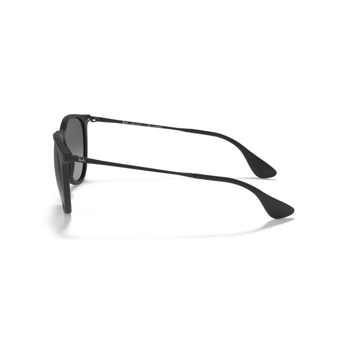 Erika RB4171 622T3