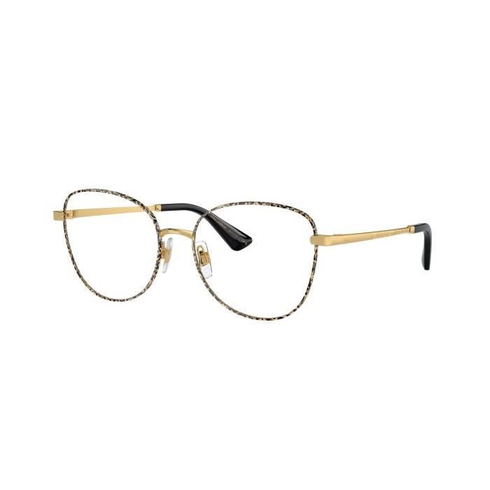 Dolce & Gabbana DG1355 1364