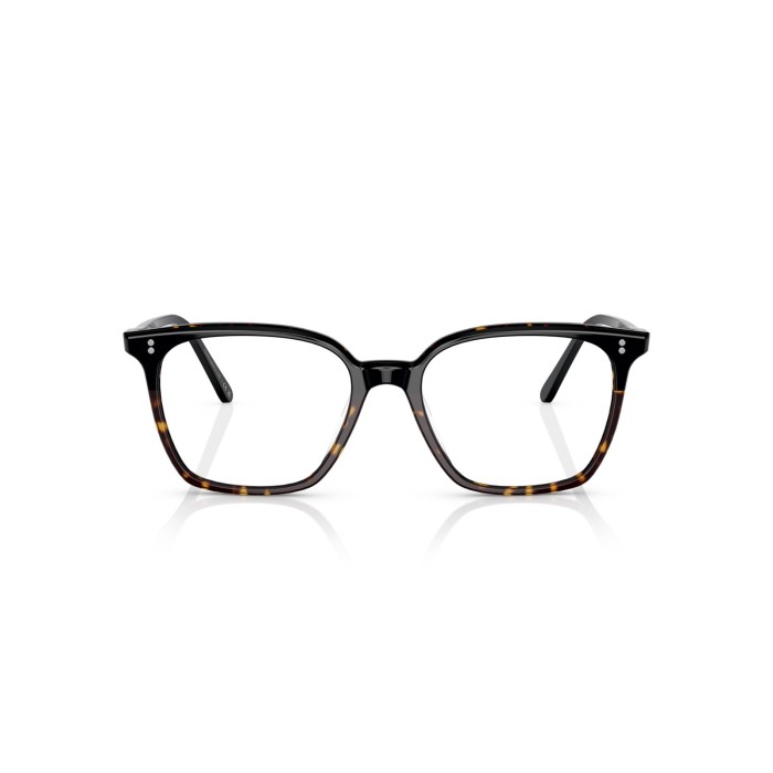 Rasey OV5488U 1682