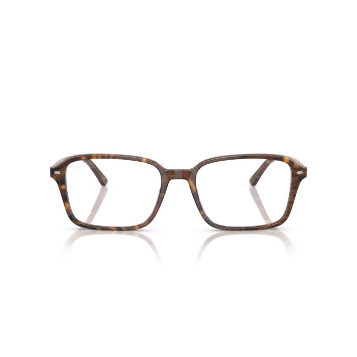 Raimond RB5431 8395