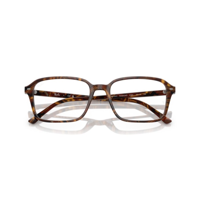Raimond RB5431 8395