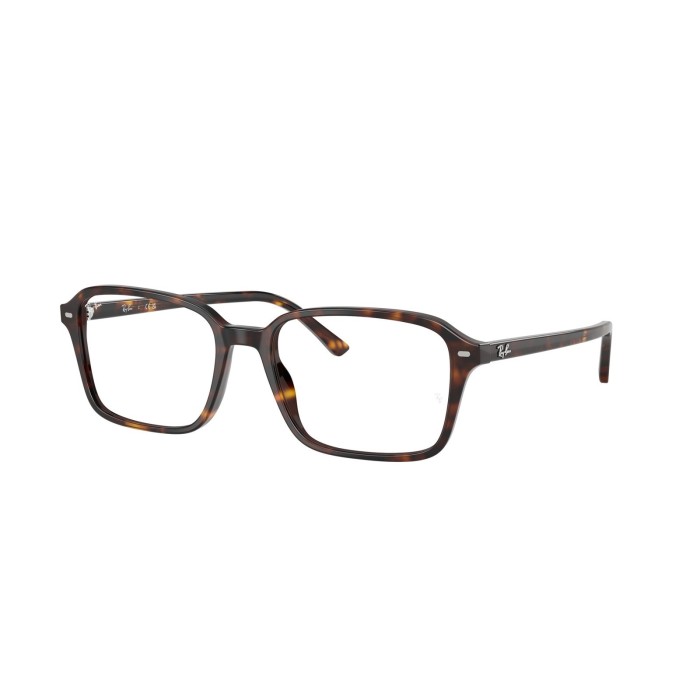 Optical Frame Ray-Ban Raimond RB5431 2012