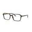 Raimond RB5431 2012
