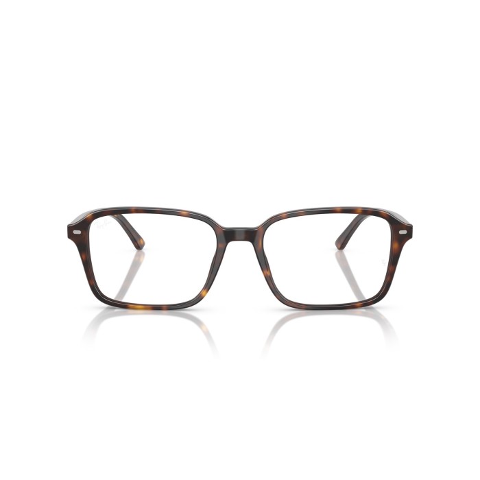 Raimond RB5431 2012
