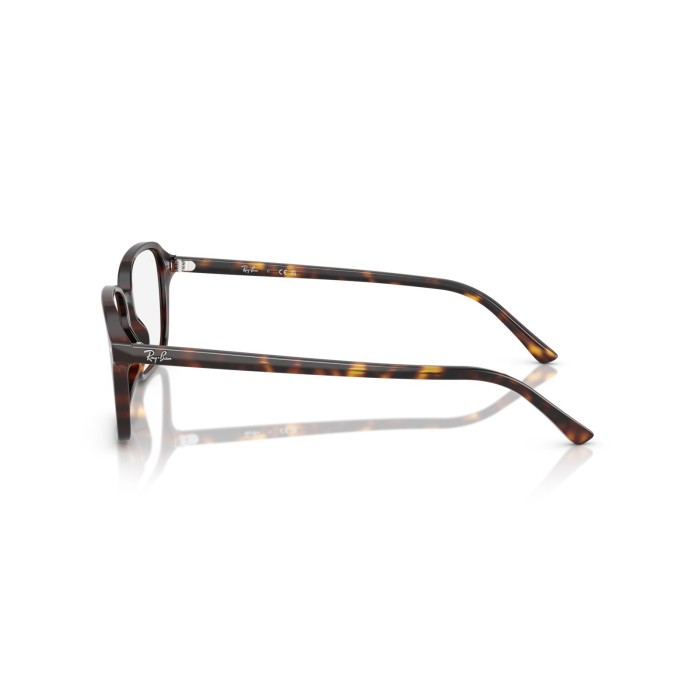 Raimond RB5431 2012