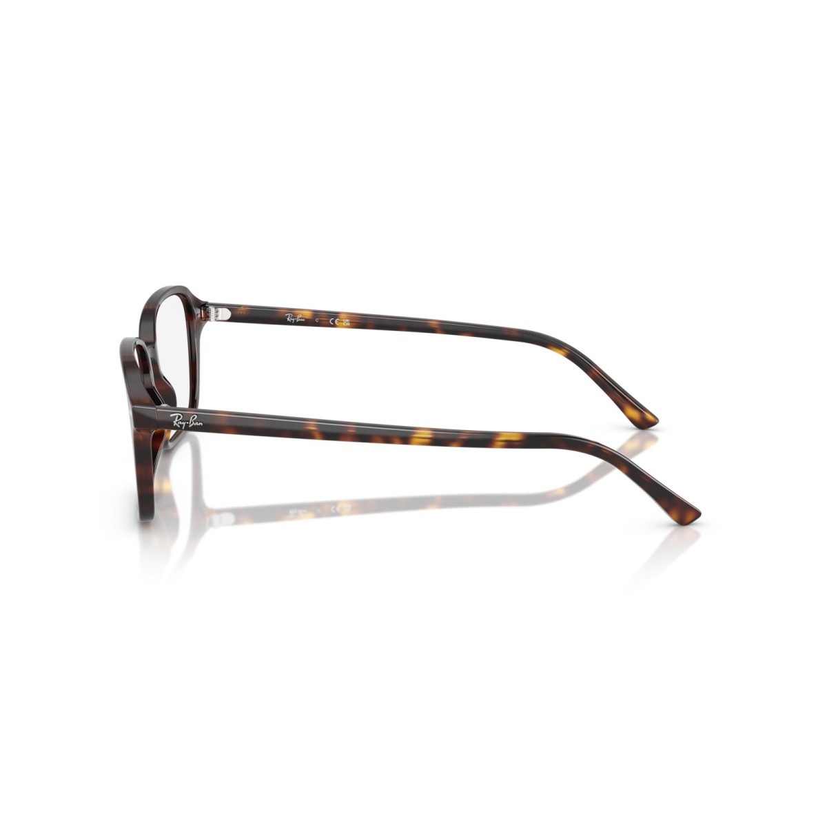 Ray-Ban Raimond RB5431 2012 | Optical Frame | Vytria Eyewear