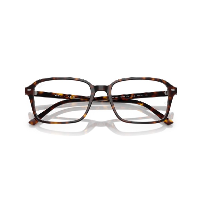 Raimond RB5431 2012