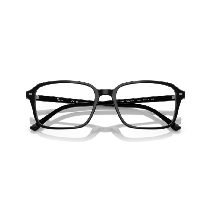 Raimond RB5431 2000