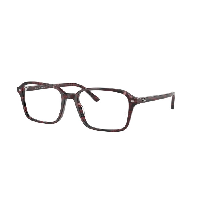 Optical Frame Ray-Ban Raimond RB5431 8393