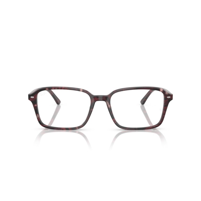 Raimond RB5431 8393