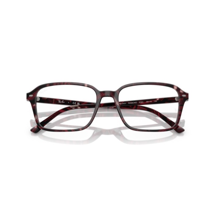 Raimond RB5431 8393