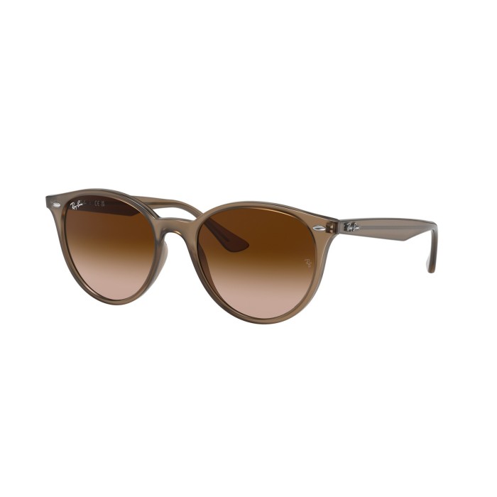 Gafas de sol Ray-Ban RB4305 616613