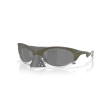 Plantaris OO9437 07