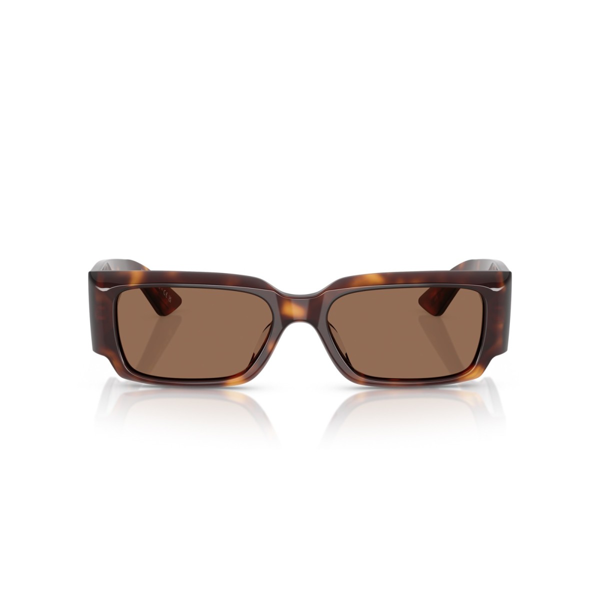 Oliver Peoples 1995C OV5583SU 100773 | Gafas de sol | Vytria Eyewear