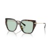 St. Barths MK2231U 3006M1