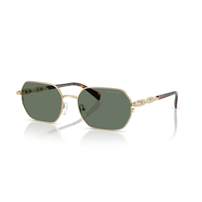 Gafas de sol Michael Kors Saint Martin MK1165 10143H