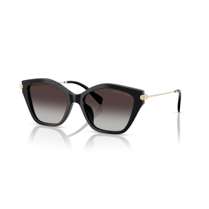 Sunglasses Michael Kors Catskills MK2246U 30058G