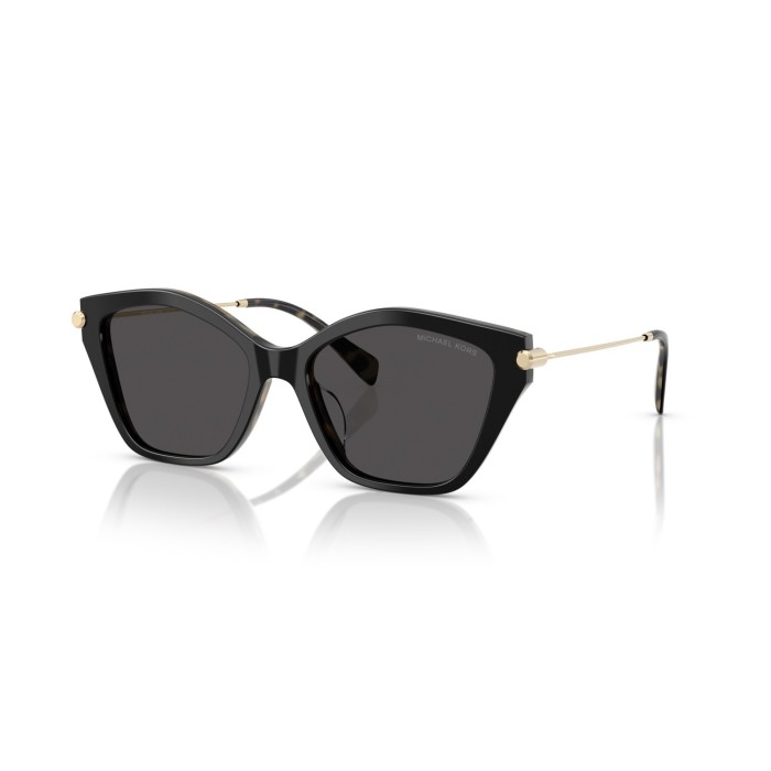 Sunglasses Michael Kors Catskills MK2246U 395087