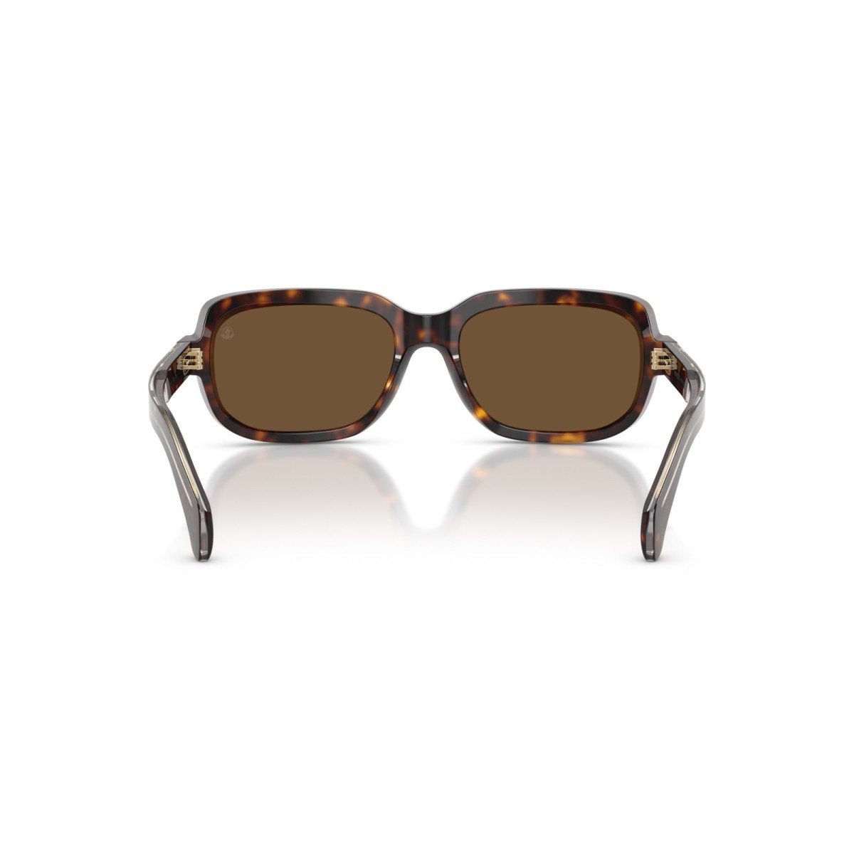 Moncler Suntrap ME6008 300273 | Sunglasses | Vytria Eyewear
