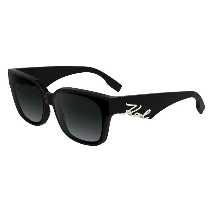 Gafas de sol Karl Lagerfeld KL6161S 001