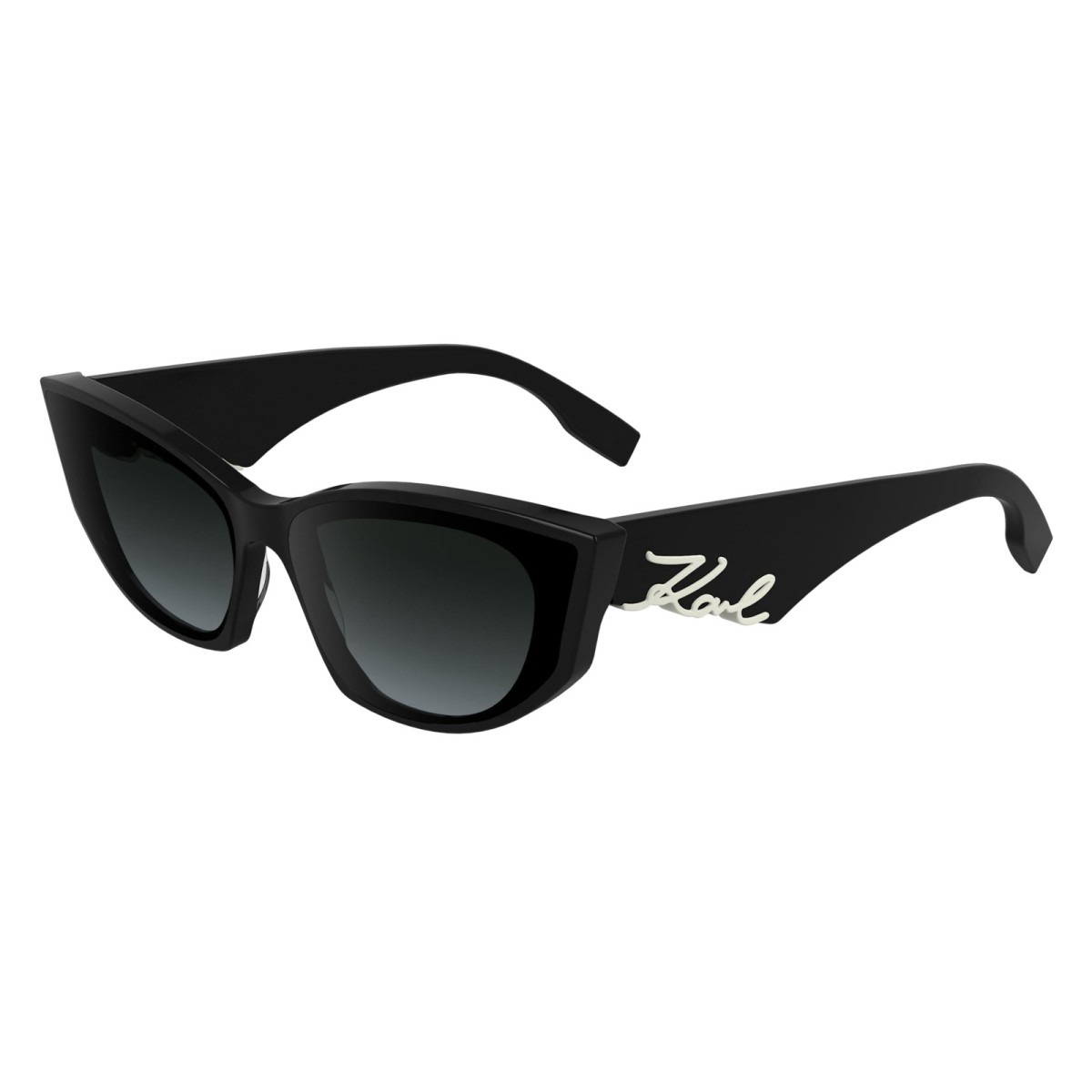 Gafas de sol Karl Lagerfeld KL6162S 001
