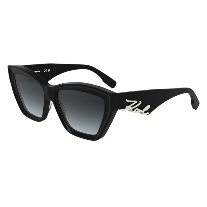 Sunglasses Karl Lagerfeld KL6179S 001