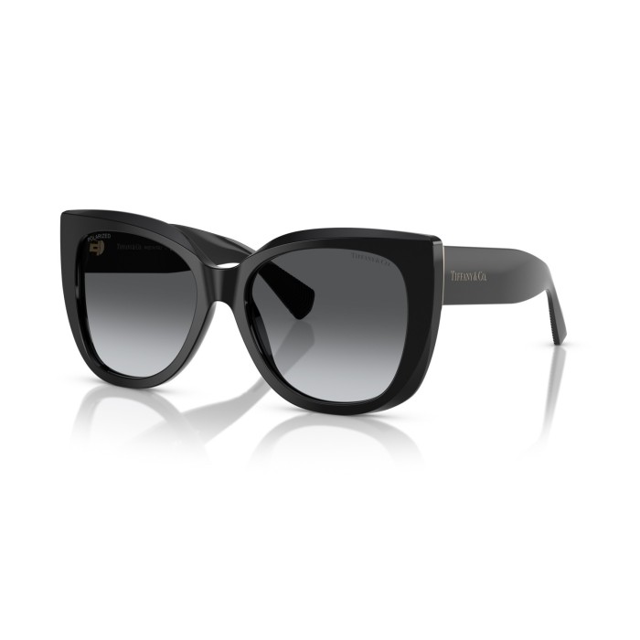Sunglasses Tiffany & Co. TF4229 8001T3