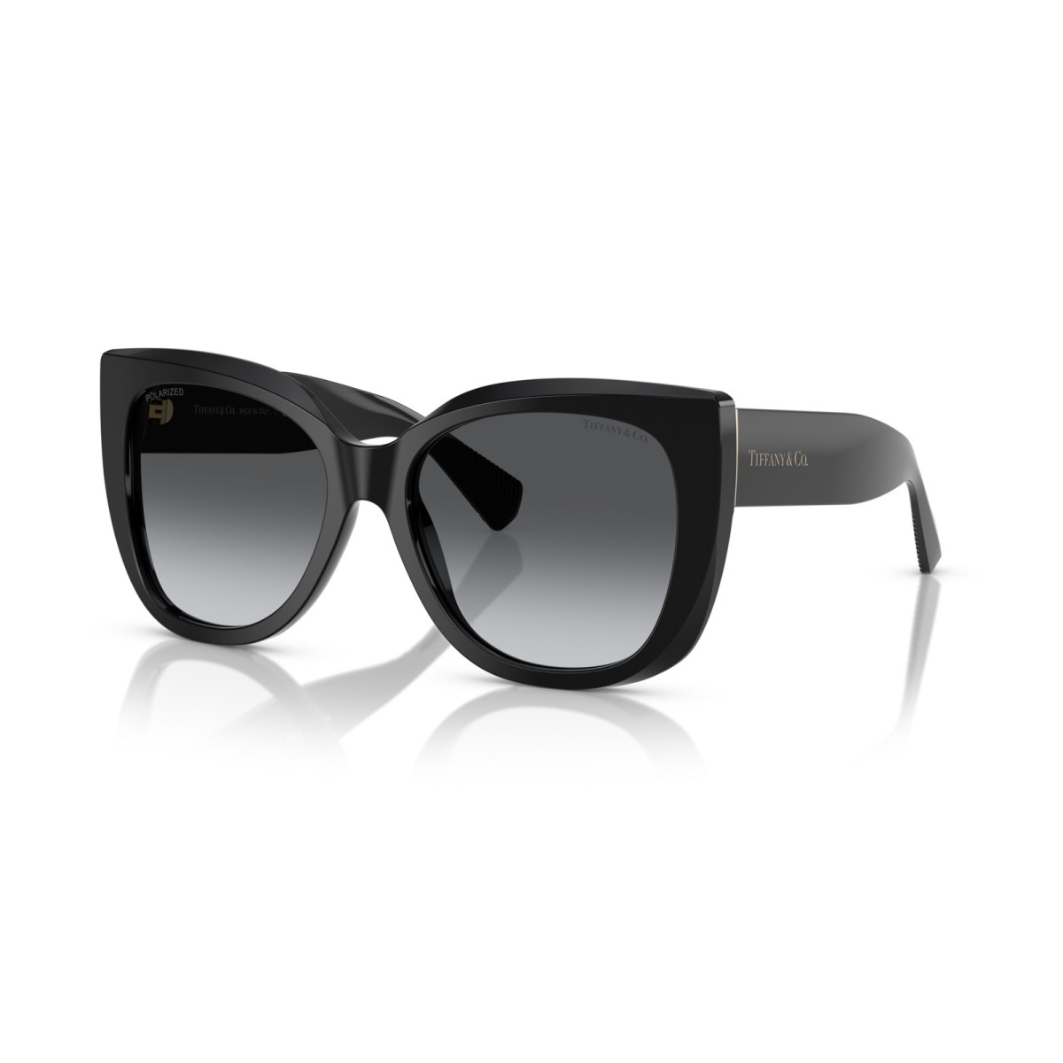 Gafas de sol Tiffany & Co. TF4229 8001T3