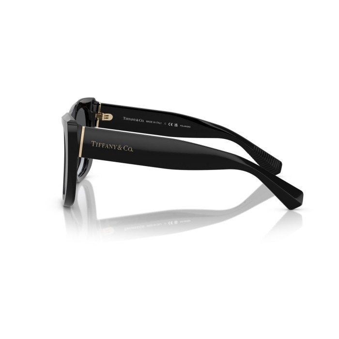 TF4229 8001T3