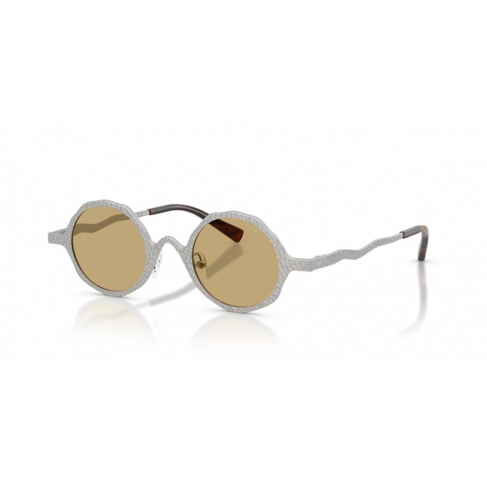 Gafas de sol EMPORIO ARMANI EA2166 30152