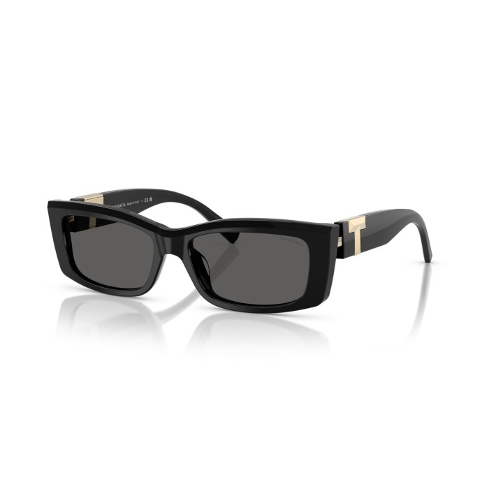 Gafas de sol Tiffany & Co. TF4240U 8001S4