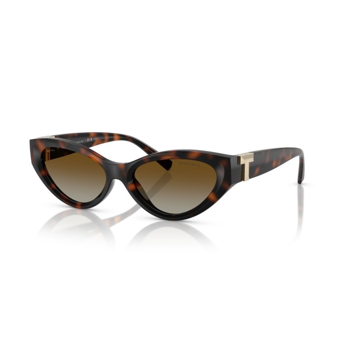 Sunglasses Tiffany & Co. TF4225U 8015T5