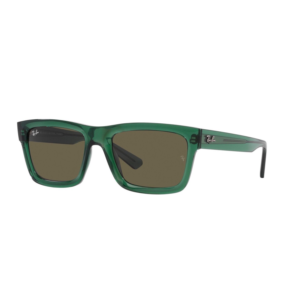 Ray Ban Warren RB4396 | Gafas de Sol