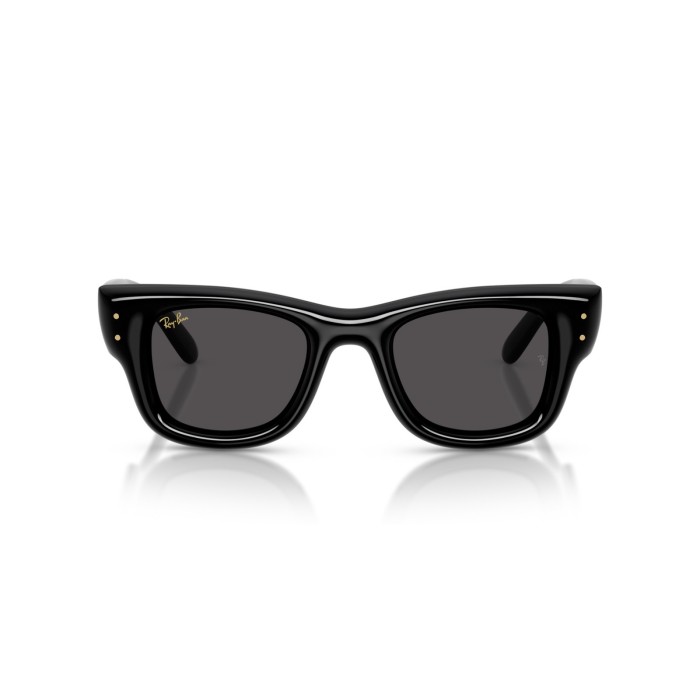 Wayfarer Puffer RB4940 60187