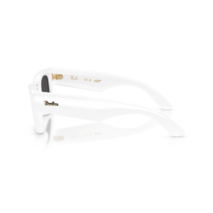 Wayfarer Puffer RB4940 67187