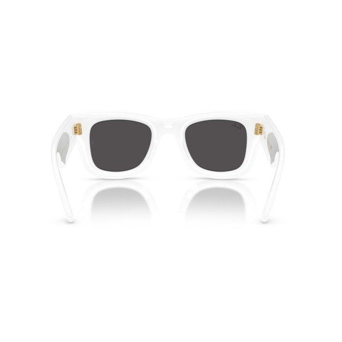 Wayfarer Puffer RB4940 67187