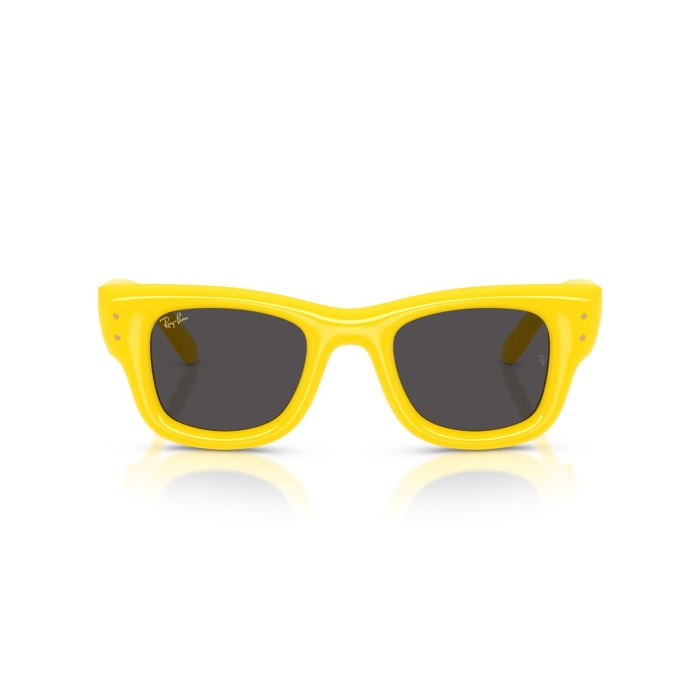 Wayfarer Puffer RB4940 683087
