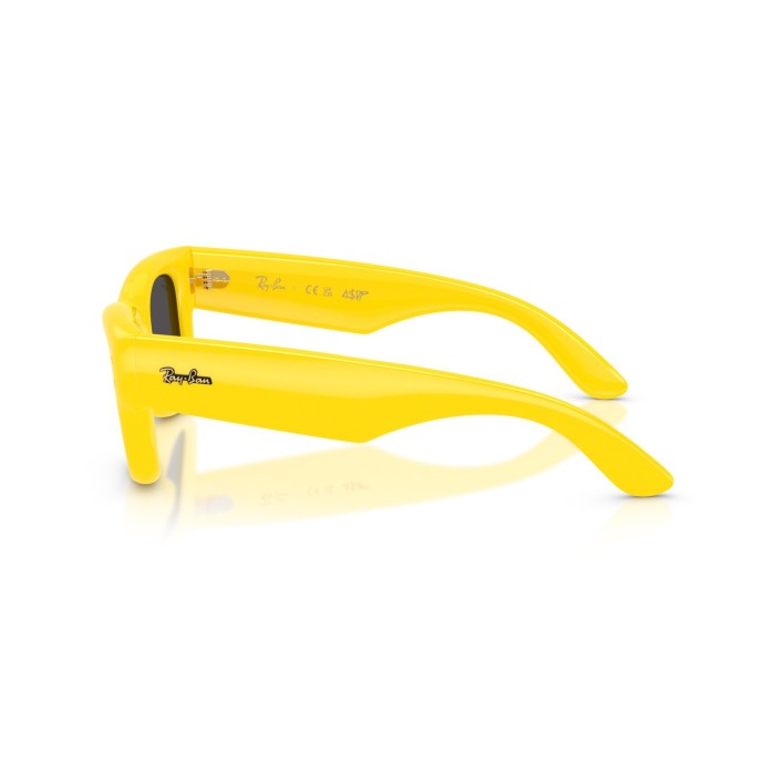 Wayfarer Puffer RB4940 683087
