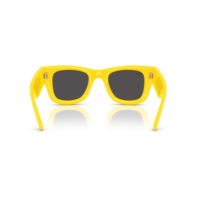 Wayfarer Puffer RB4940 683087