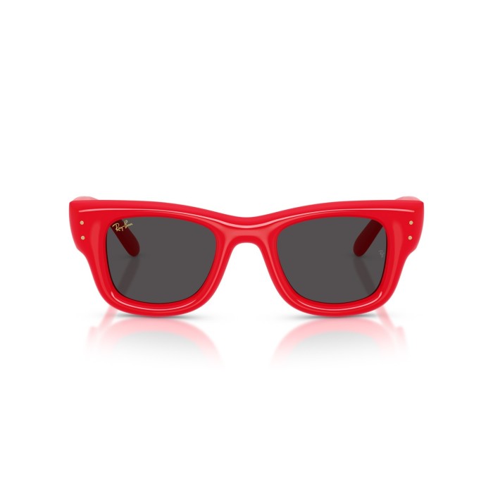 Wayfarer Puffer RB4940 683187