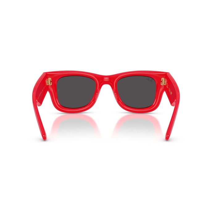 Wayfarer Puffer RB4940 683187