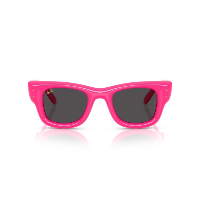 Wayfarer Puffer RB4940 683287