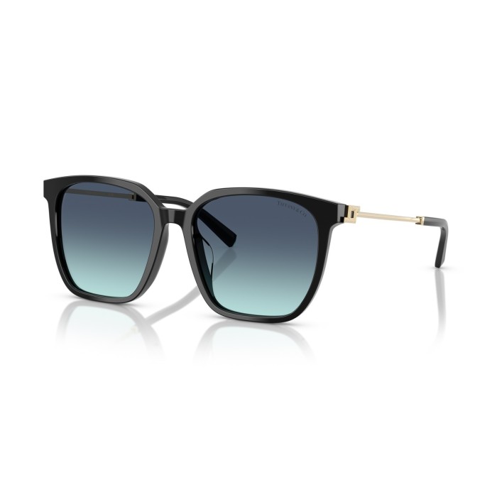 Gafas de sol Tiffany & Co. TF4244D 80019S