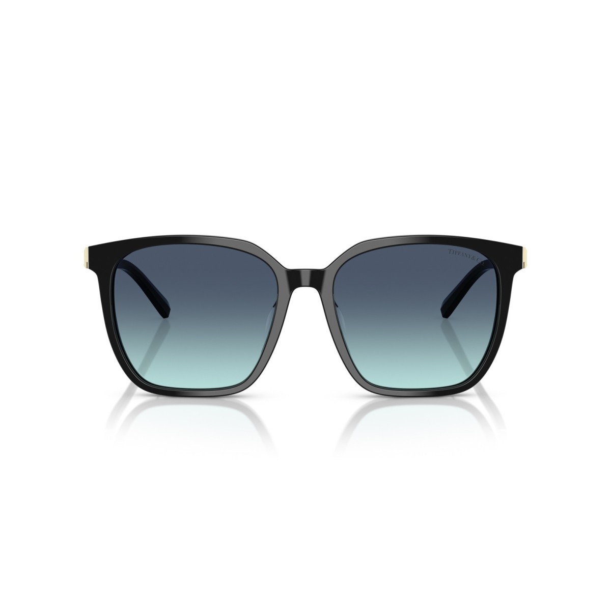 Tiffany & Co. TF4244D 80019S | Sunglasses | Vytria Eyewear